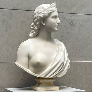 Meet your Posher, Lizzie